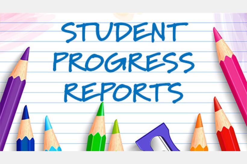 Progress Reports